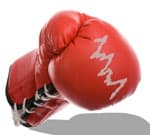 Brains vs brawn in business development