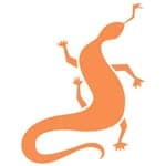 Red Lizard Goanna