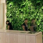 Greenwalls