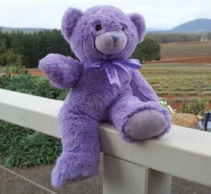 BobbyBear