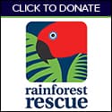 RainforestRescue_125x125-2