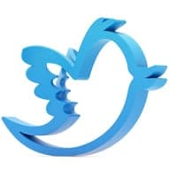 Twitter bird