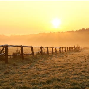 Farm at sunset