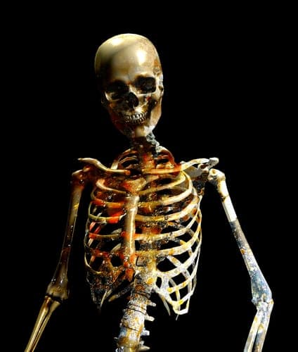 skeleton