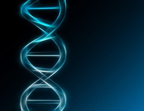 DNA sequence