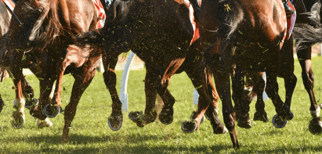 Melbourne Cup