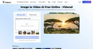 vidwud.com