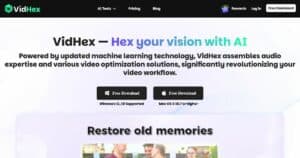 vidhex.ai