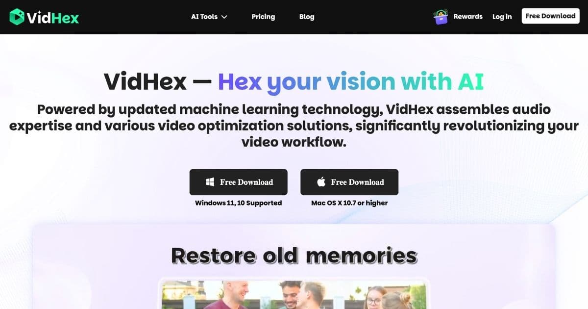 vidhex.ai