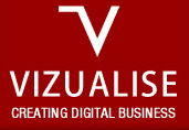 Vizualise logo