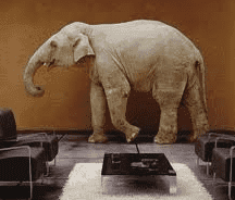 elephant in the room