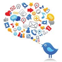 Social media bird