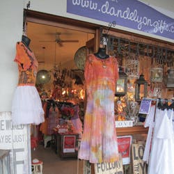 Front-facing shot of Dandelyon store, Brisbane