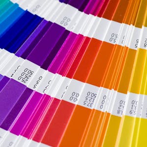 Pantone cards splayed out