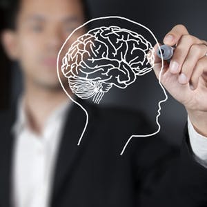 Business man drawing outline of a brain
