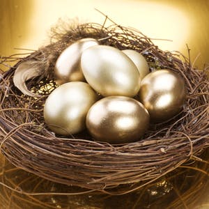 Golden eggs in a nest - superannuation