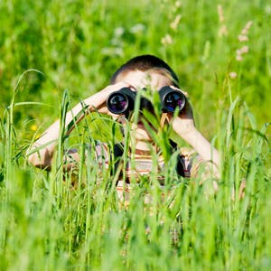 Little boy in long grass, with binoculars
