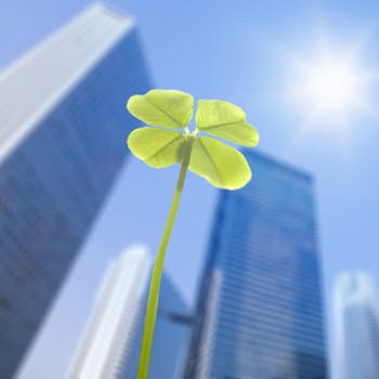 Four leafed clover, in front of high-rise buildings