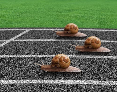 snails on a running track