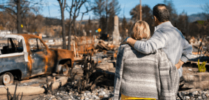 small businesses eligible for tax exemptions and government grants after bushfires