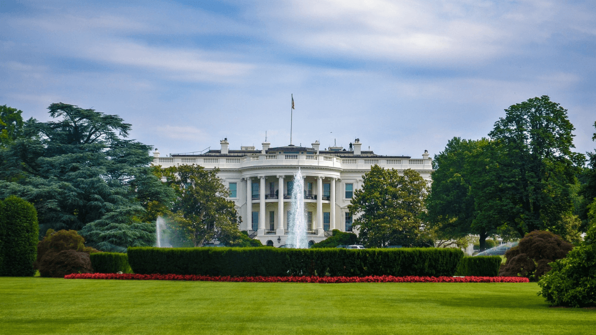 The White House, What does Joe Biden's win mean for businesses?