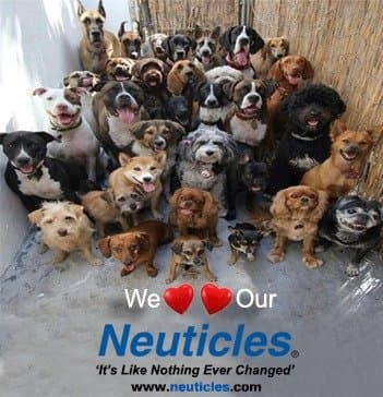 The quirkiest business ideas that are actually working