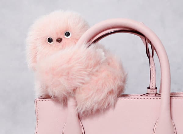 CES 2025: Fantastic new gadgets you must check out