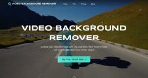 video-background-remover.com