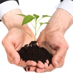 How green is your people development agenda?