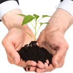 Carbon neutral business community close to fruition