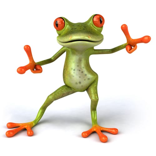 NSW digital economy pitch event goes off like a frog in a sock