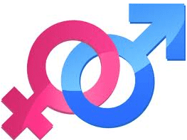 The contrast between male and female business owners