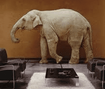 The risk of the ignoring the elephant in the room