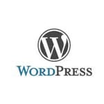 Using WordPress to build a business website