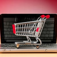 Learn how to harness the power of online retail