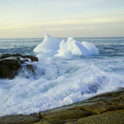 Avoid business icebergs: Do your due diligence
