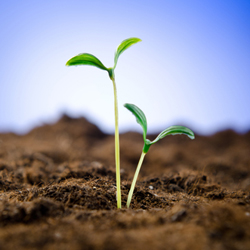 10-point checklist for ensuring growth
