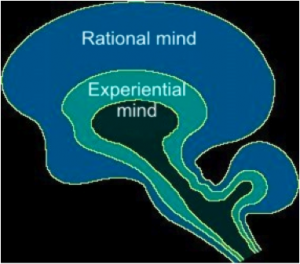 Rational mind imade Rational mind imade