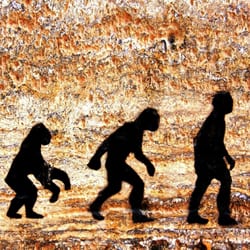 The Darwinian approach to business survival