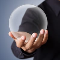 Our business forecast for 2013