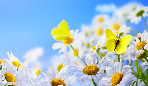 What you need to know about changes to superannuation (part 3)