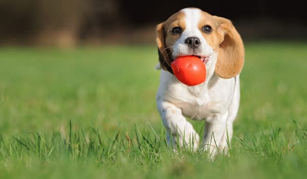 4 ways to turn happiness into a competitive advantage