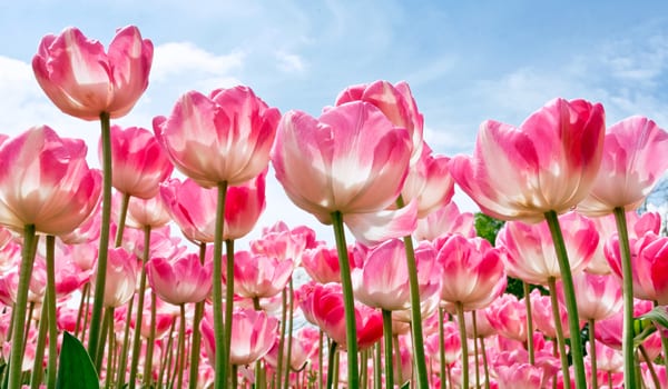 Seasonality and your business strategy