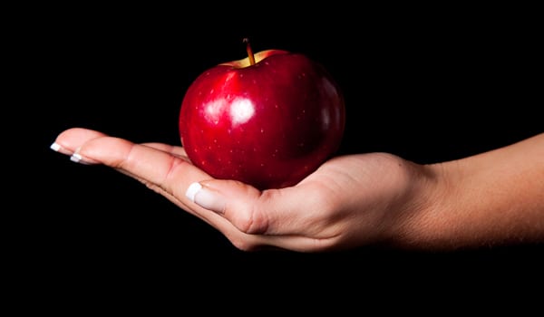 Avoiding the 7 deadly entrepreneurial sins