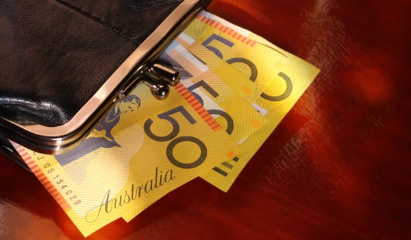 2013/14 Budget Review