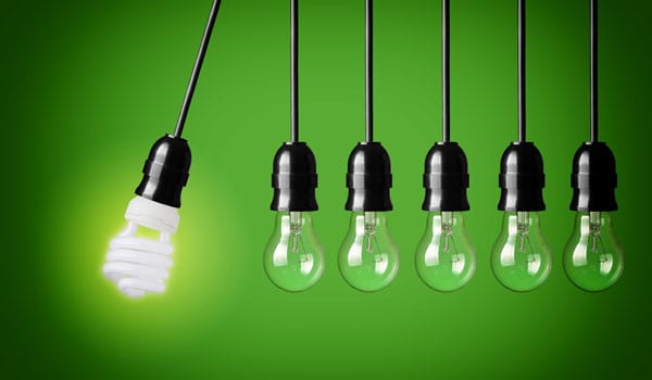 Leverage culture, benefits and corporate social responsibility to attract employees