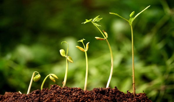 Tech incubator gets the green light