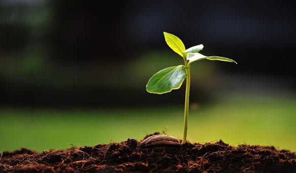 Quick fixes for your business this new financial year