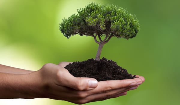 New standard for sustainable packaging