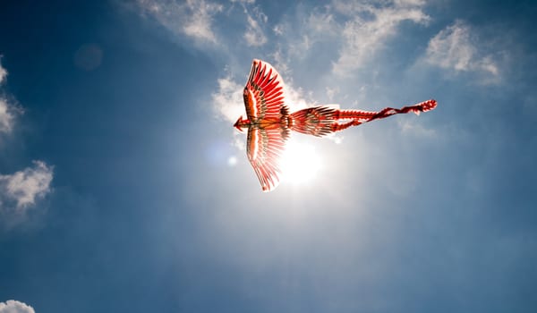 ASIC ramps up surveillance targeting false declarations